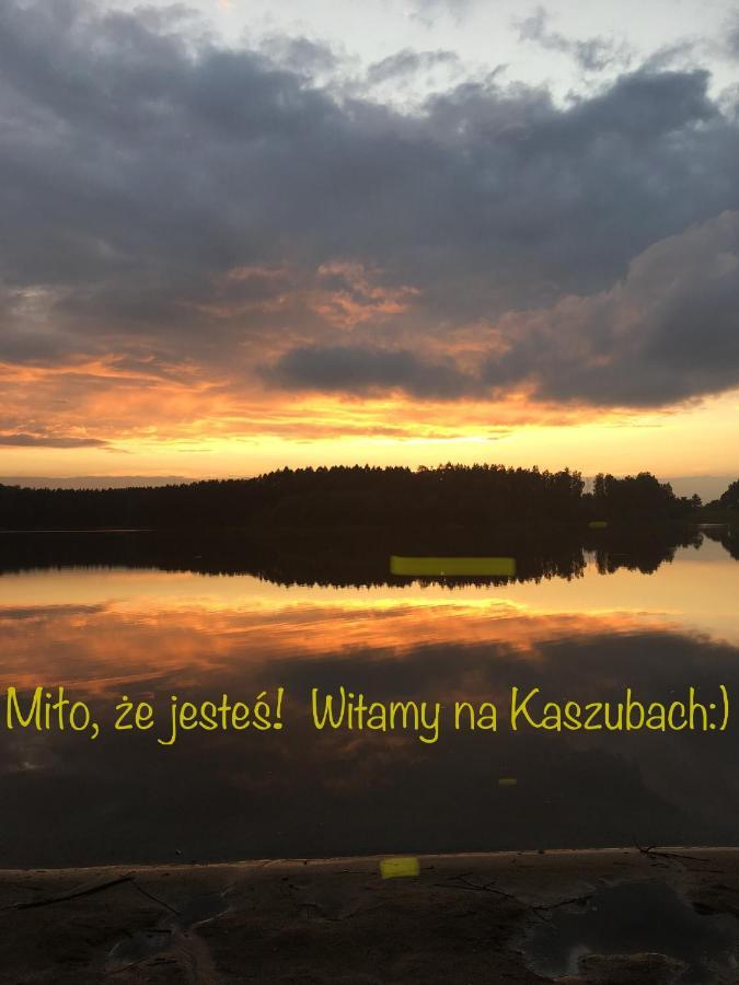 הוילה Kamien Na Kaszubach מראה חיצוני תמונה